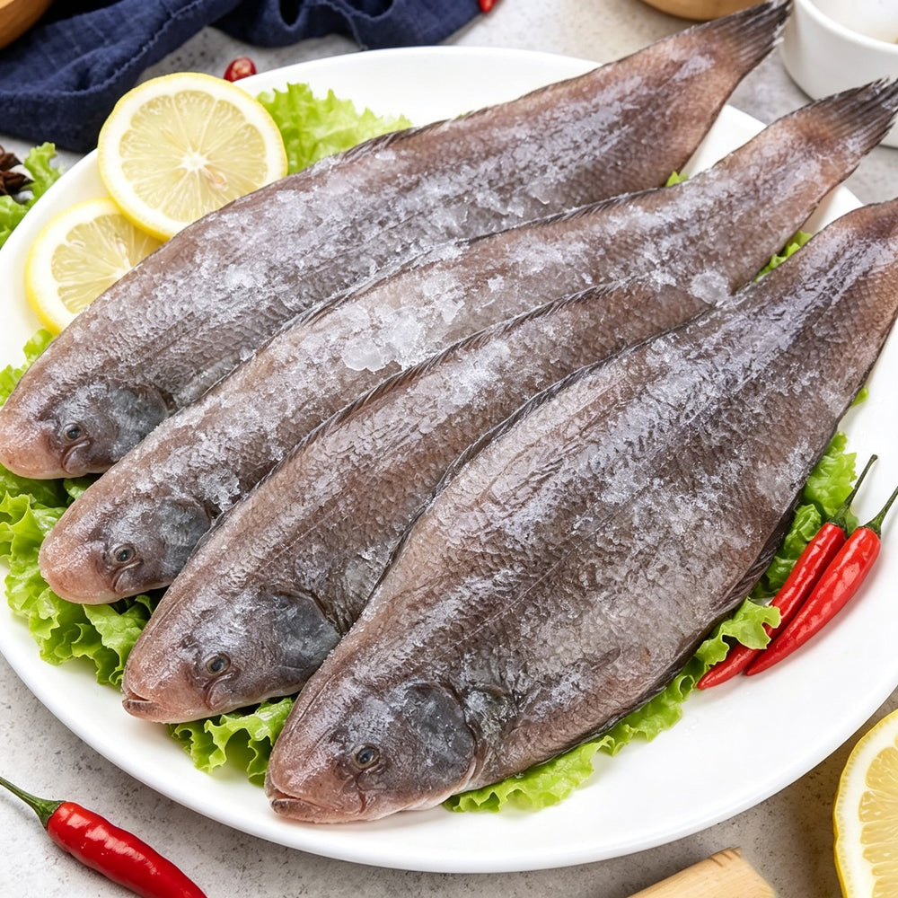 Frozen Whole Sole Fish
