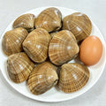 Striped venus clams on a white plate beside a hen's egg for scale