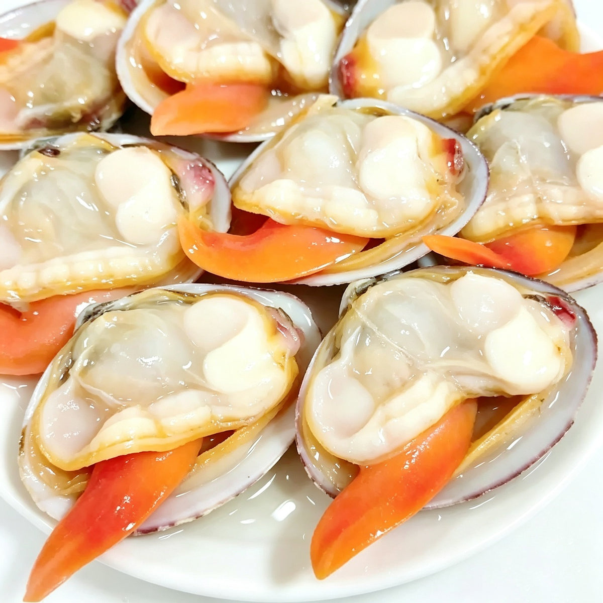 Large Striped Venus Clams